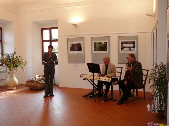 Z koncertu Viola d´amore dua